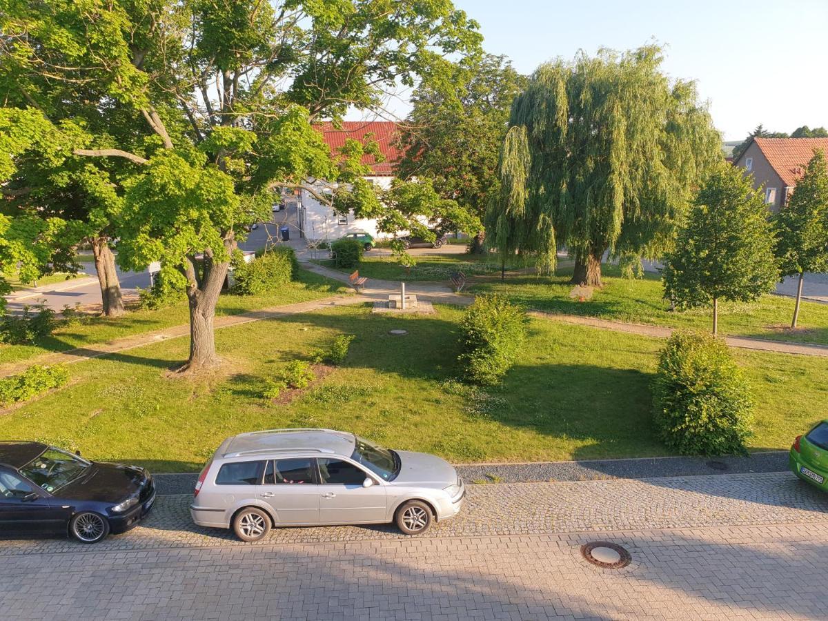 Ganze Ferienwohnung 5 Km Von Erfurt, Mit Kaffeevollautomat, Tv, Wlan, Boxspringbett, Schlafsofa Und Einkaufsmoeglichkeiten, Sehr Gute Anbindung Zur A71 Und A4, Kostenloser Oeff Parkplatz Fuer Pkw Und Transporter Elxleben エクステリア 写真